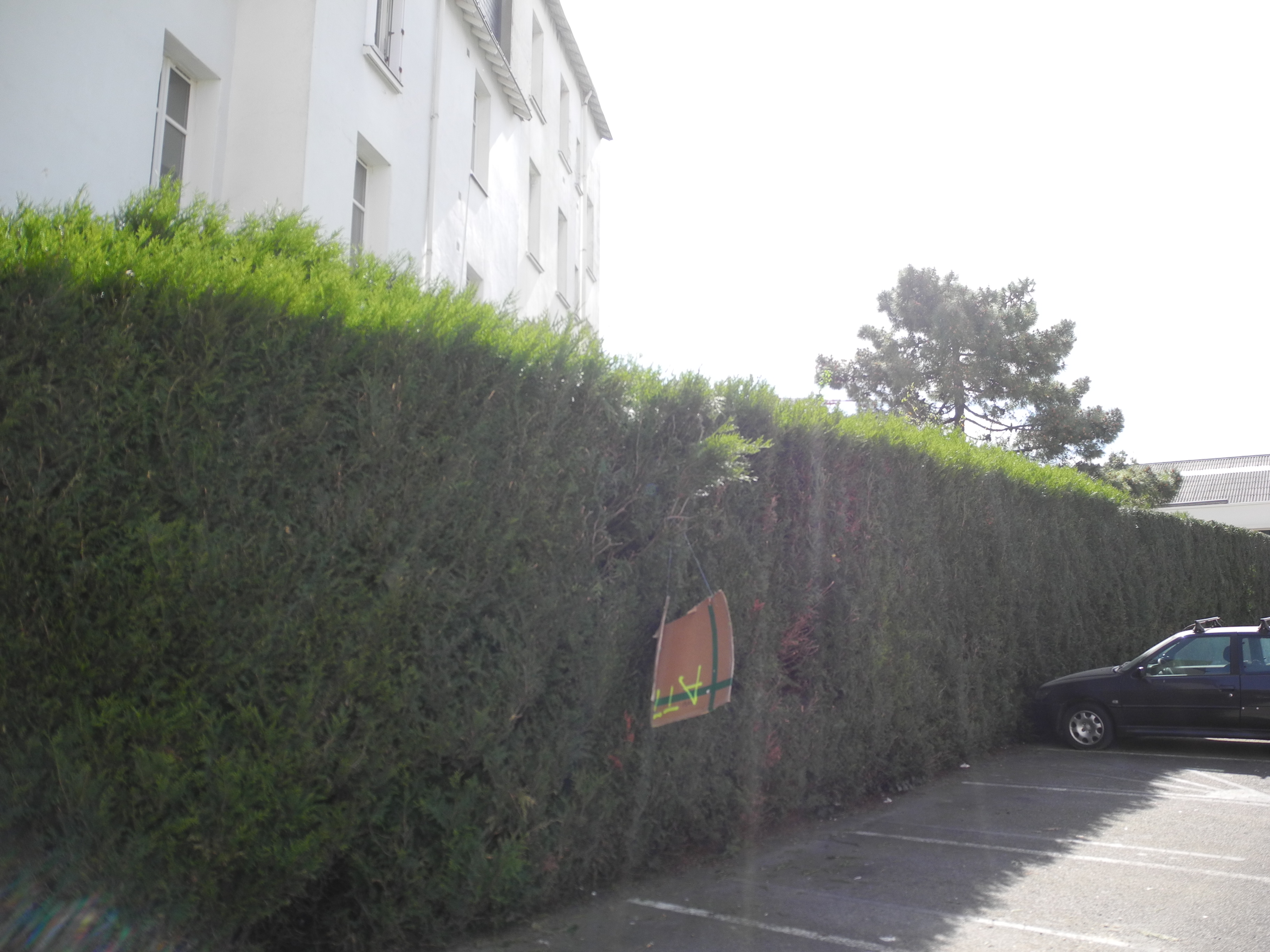 dscn4841.jpg